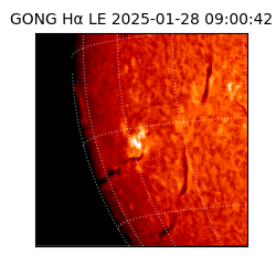 gong - 2025-01-28T09:00:42