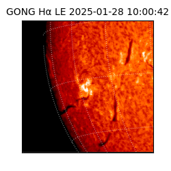 gong - 2025-01-28T10:00:42