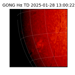 gong - 2025-01-28T13:00:22