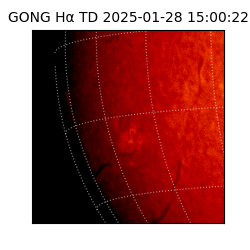 gong - 2025-01-28T15:00:22