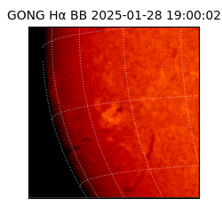 gong - 2025-01-28T19:00:02