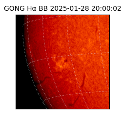 gong - 2025-01-28T20:00:02