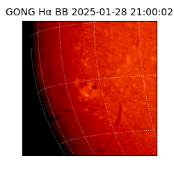 gong - 2025-01-28T21:00:02