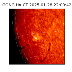 gong - 2025-01-28T22:00:42