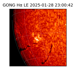 gong - 2025-01-28T23:00:42