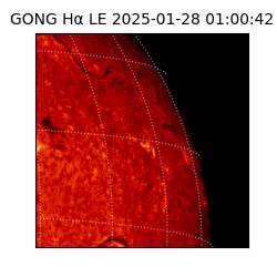 gong - 2025-01-28T01:00:42