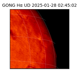 gong - 2025-01-28T02:45:02