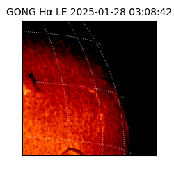 gong - 2025-01-28T03:08:42