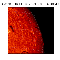 gong - 2025-01-28T04:00:42