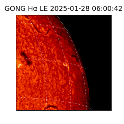 gong - 2025-01-28T06:00:42