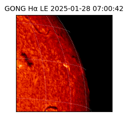 gong - 2025-01-28T07:00:42