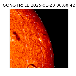 gong - 2025-01-28T08:00:42