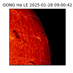 gong - 2025-01-28T09:00:42