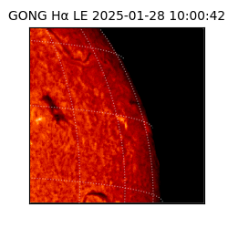gong - 2025-01-28T10:00:42