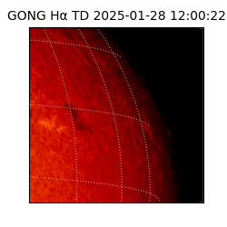 gong - 2025-01-28T12:00:22