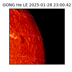 gong - 2025-01-28T23:00:42