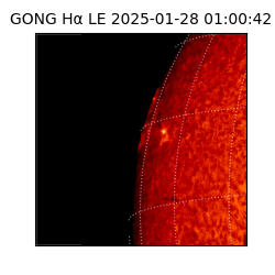 gong - 2025-01-28T01:00:42