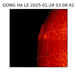 gong - 2025-01-28T03:08:42