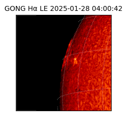 gong - 2025-01-28T04:00:42