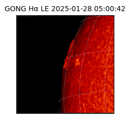 gong - 2025-01-28T05:00:42