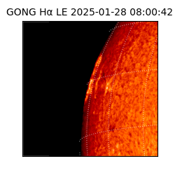 gong - 2025-01-28T08:00:42
