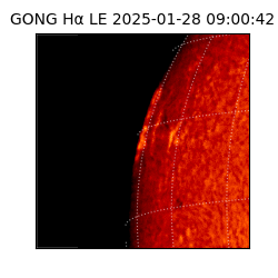gong - 2025-01-28T09:00:42