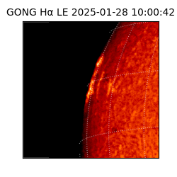 gong - 2025-01-28T10:00:42