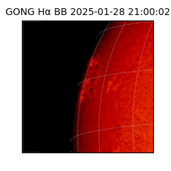 gong - 2025-01-28T21:00:02