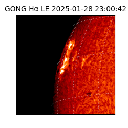gong - 2025-01-28T23:00:42