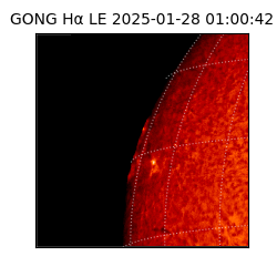 gong - 2025-01-28T01:00:42