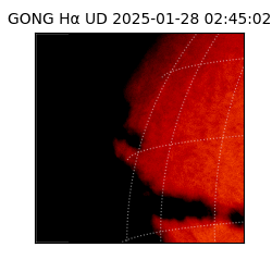 gong - 2025-01-28T02:45:02