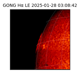 gong - 2025-01-28T03:08:42