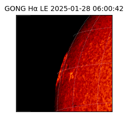 gong - 2025-01-28T06:00:42