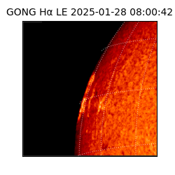 gong - 2025-01-28T08:00:42