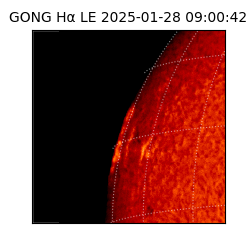 gong - 2025-01-28T09:00:42
