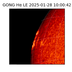 gong - 2025-01-28T10:00:42