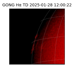 gong - 2025-01-28T12:00:22