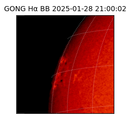 gong - 2025-01-28T21:00:02
