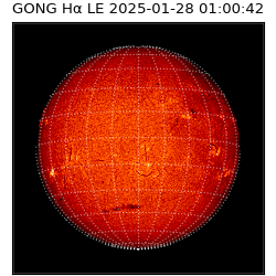 gong - 2025-01-28T01:00:42