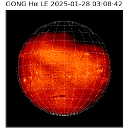 gong - 2025-01-28T03:08:42