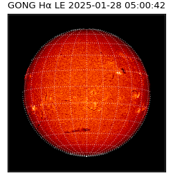 gong - 2025-01-28T05:00:42