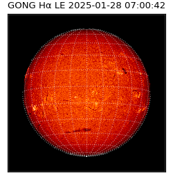 gong - 2025-01-28T07:00:42