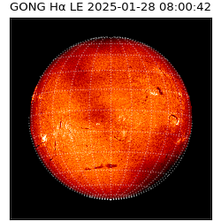gong - 2025-01-28T08:00:42
