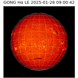 gong - 2025-01-28T09:00:42