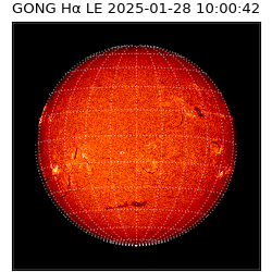 gong - 2025-01-28T10:00:42