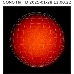 gong - 2025-01-28T11:00:22