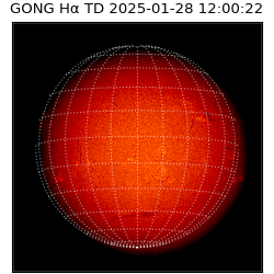 gong - 2025-01-28T12:00:22