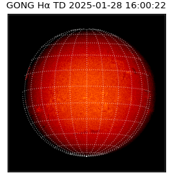 gong - 2025-01-28T16:00:22