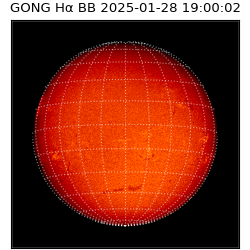 gong - 2025-01-28T19:00:02