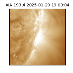 saia - 2025-01-29T19:00:04.843000